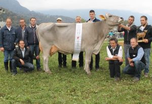 151009ViehschauSarnen 213